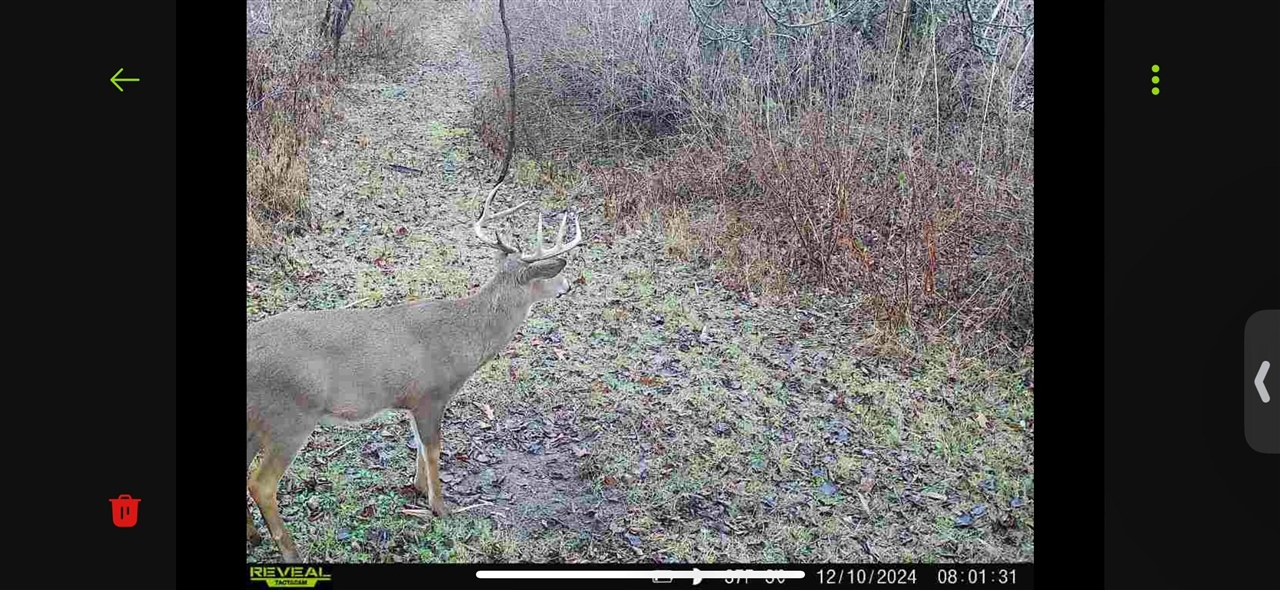 V/L Brace Road, Lakeport, MI, 48059