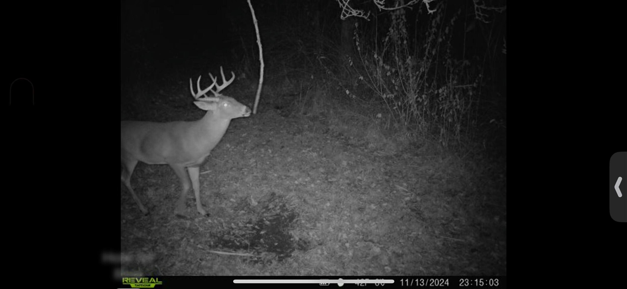 V/L Brace Road, Lakeport, MI, 48059