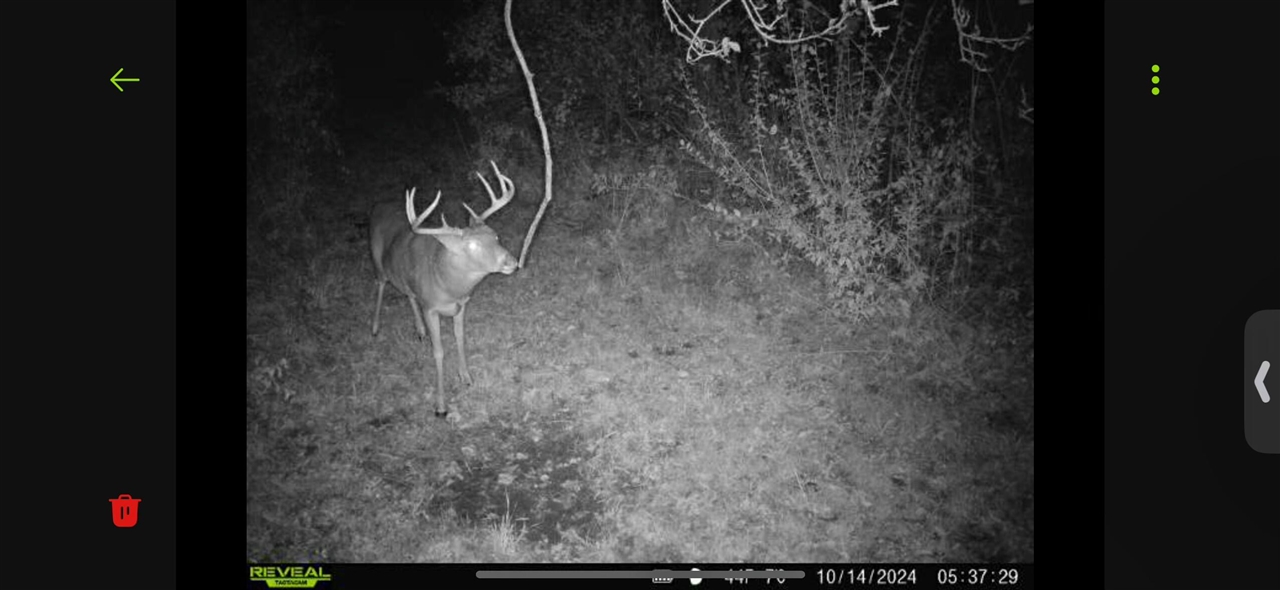 V/L Brace Road, Lakeport, MI, 48059