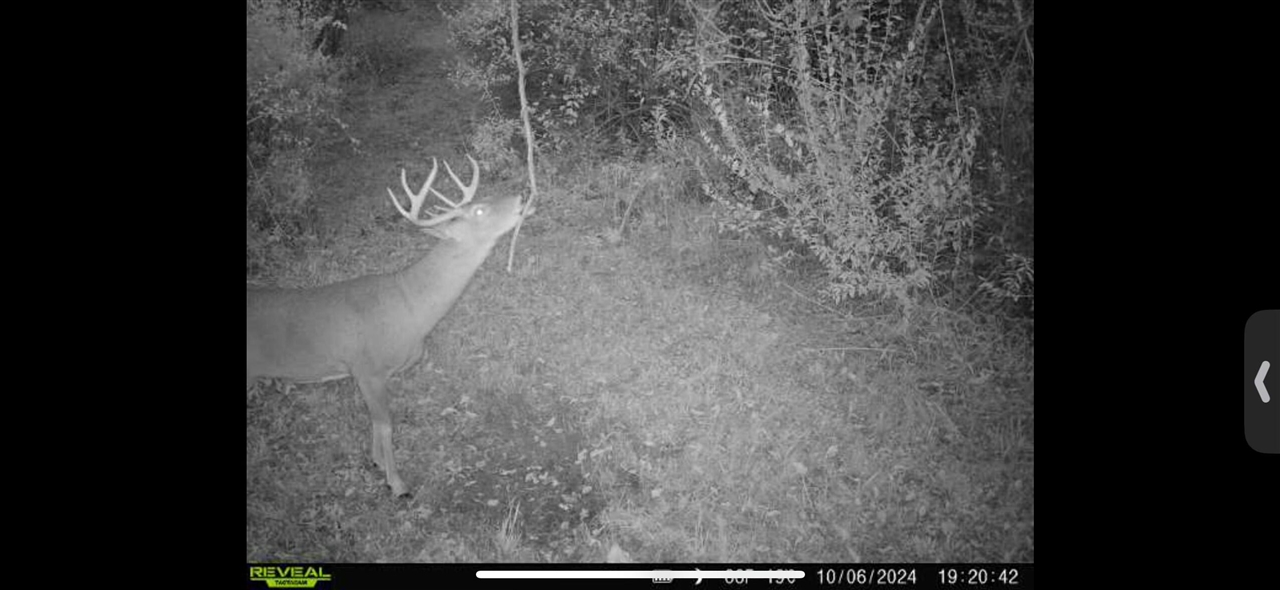 V/L Brace Road, Lakeport, MI, 48059