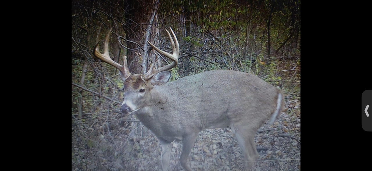 V/L Brace Road, Lakeport, MI, 48059