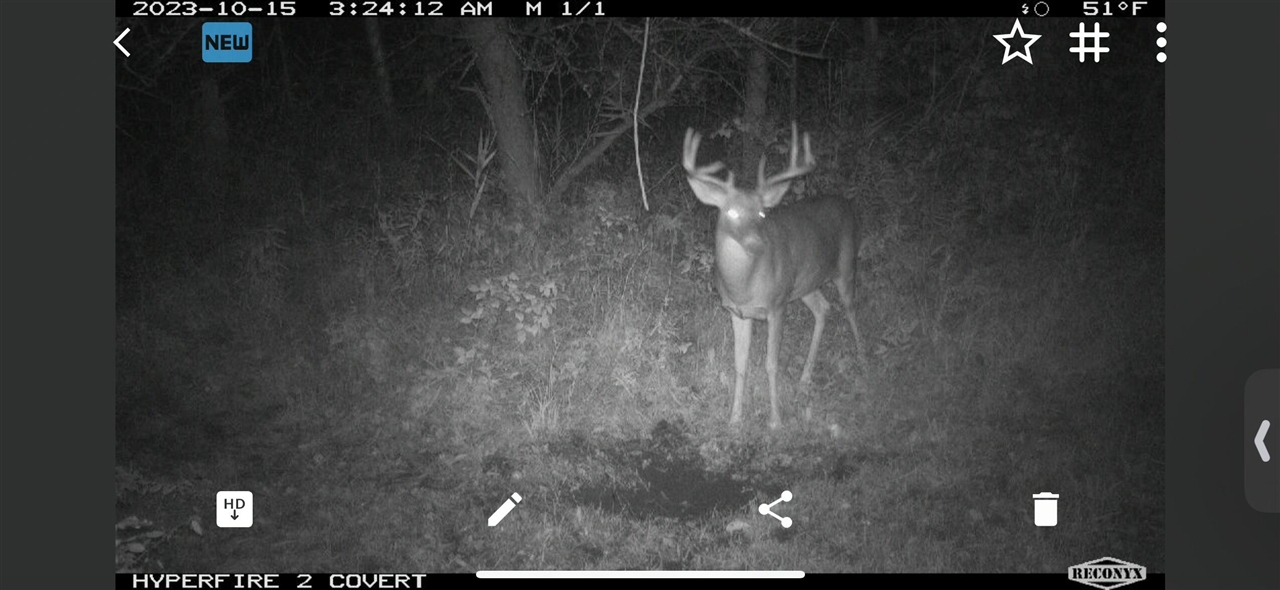 V/L Brace Road, Lakeport, MI, 48059