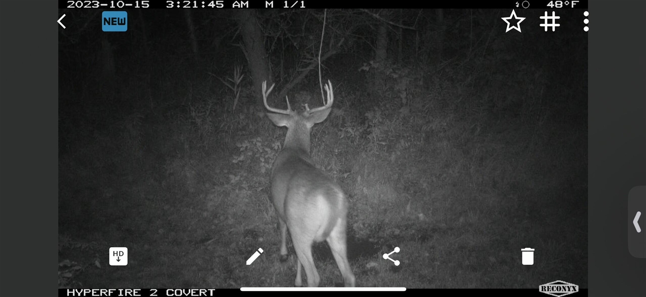 V/L Brace Road, Lakeport, MI, 48059