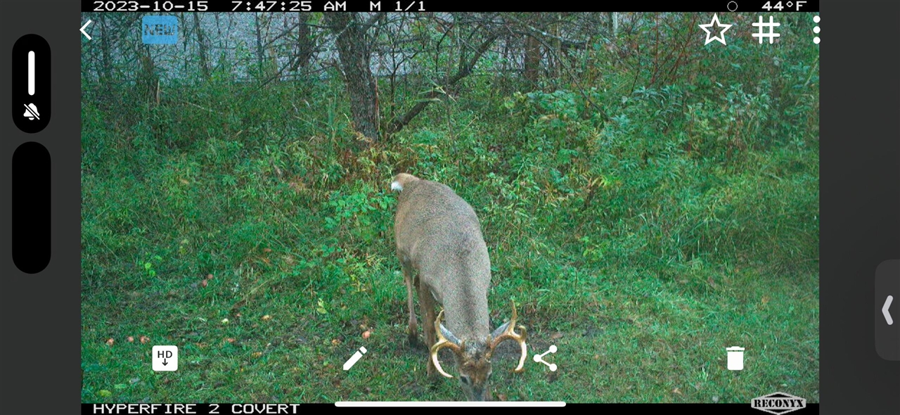 V/L Brace Road, Lakeport, MI, 48059