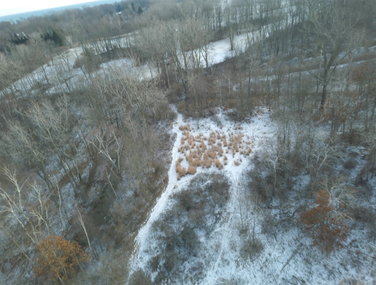 V/L Brace Road, Lakeport, MI, 48059