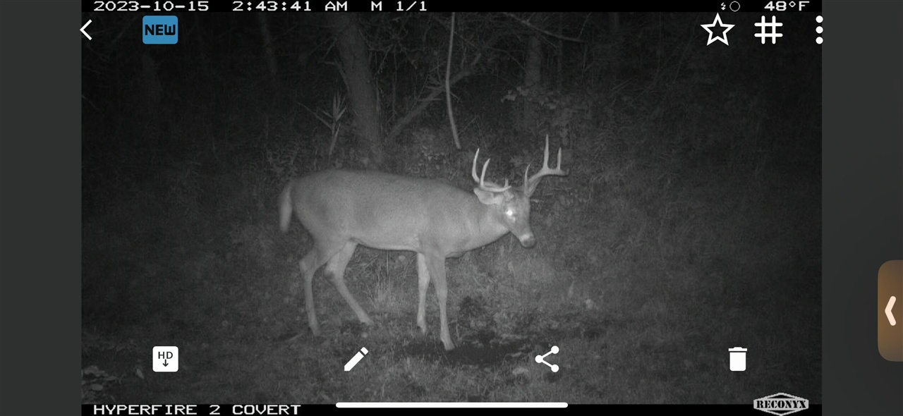 V/L Brace Road, Lakeport, MI, 48059