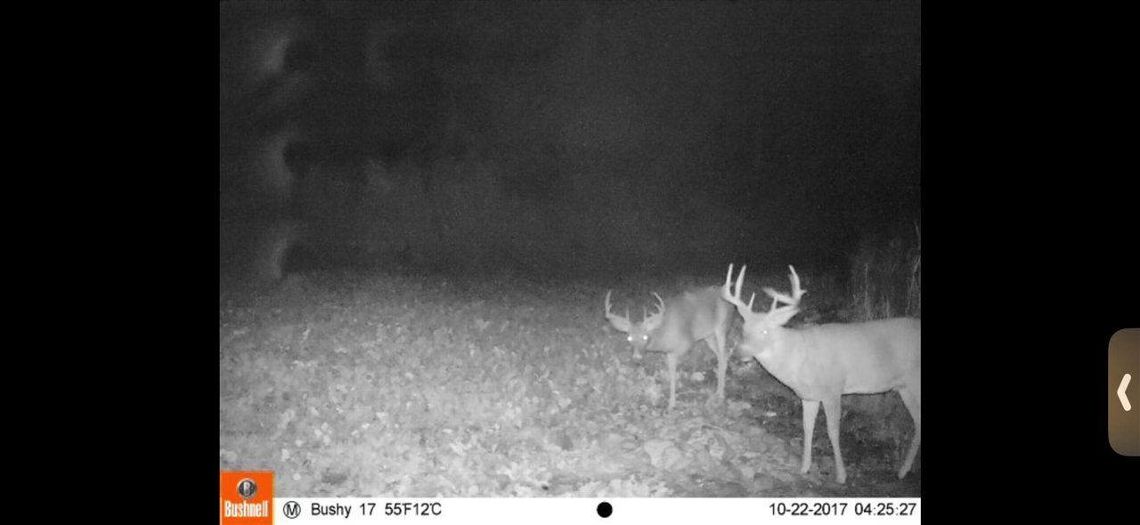 V/L Brace Road, Lakeport, MI, 48059