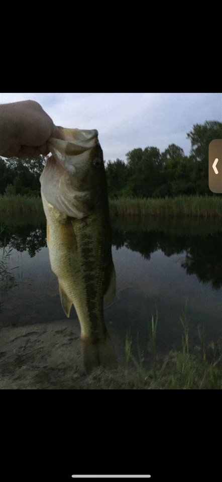 V/L Brace Road, Lakeport, MI, 48059