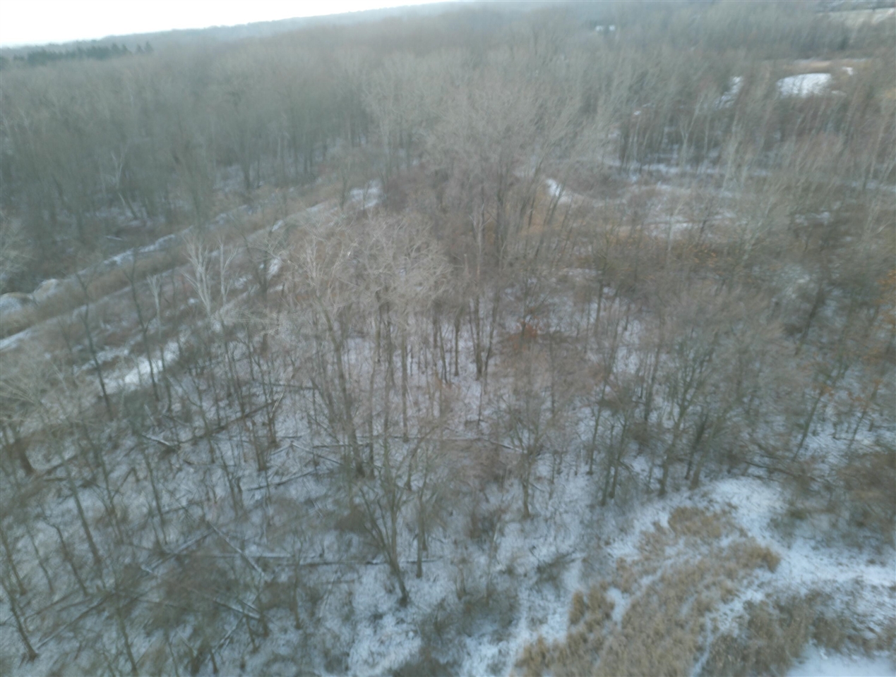 V/L Brace Road, Lakeport, MI, 48059