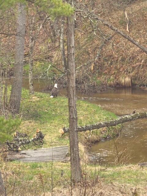 Homes for sale in White Cloud, MI | 1977 E 40Th St, White Cloud, MI 49349 | MLS# 70467911