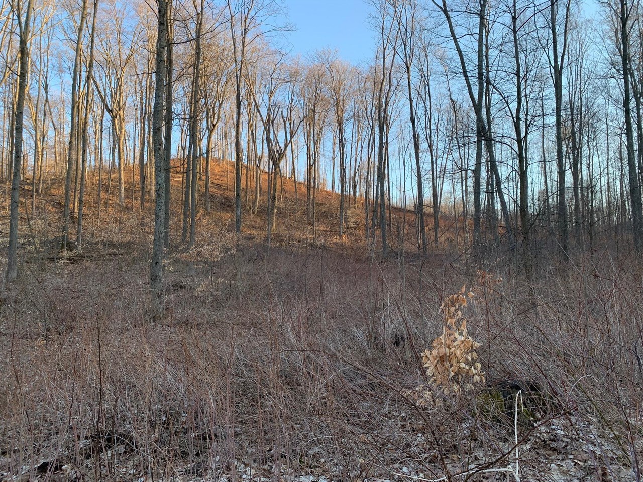 Chief ''o'' Road, Bear Lake, MI, 49614