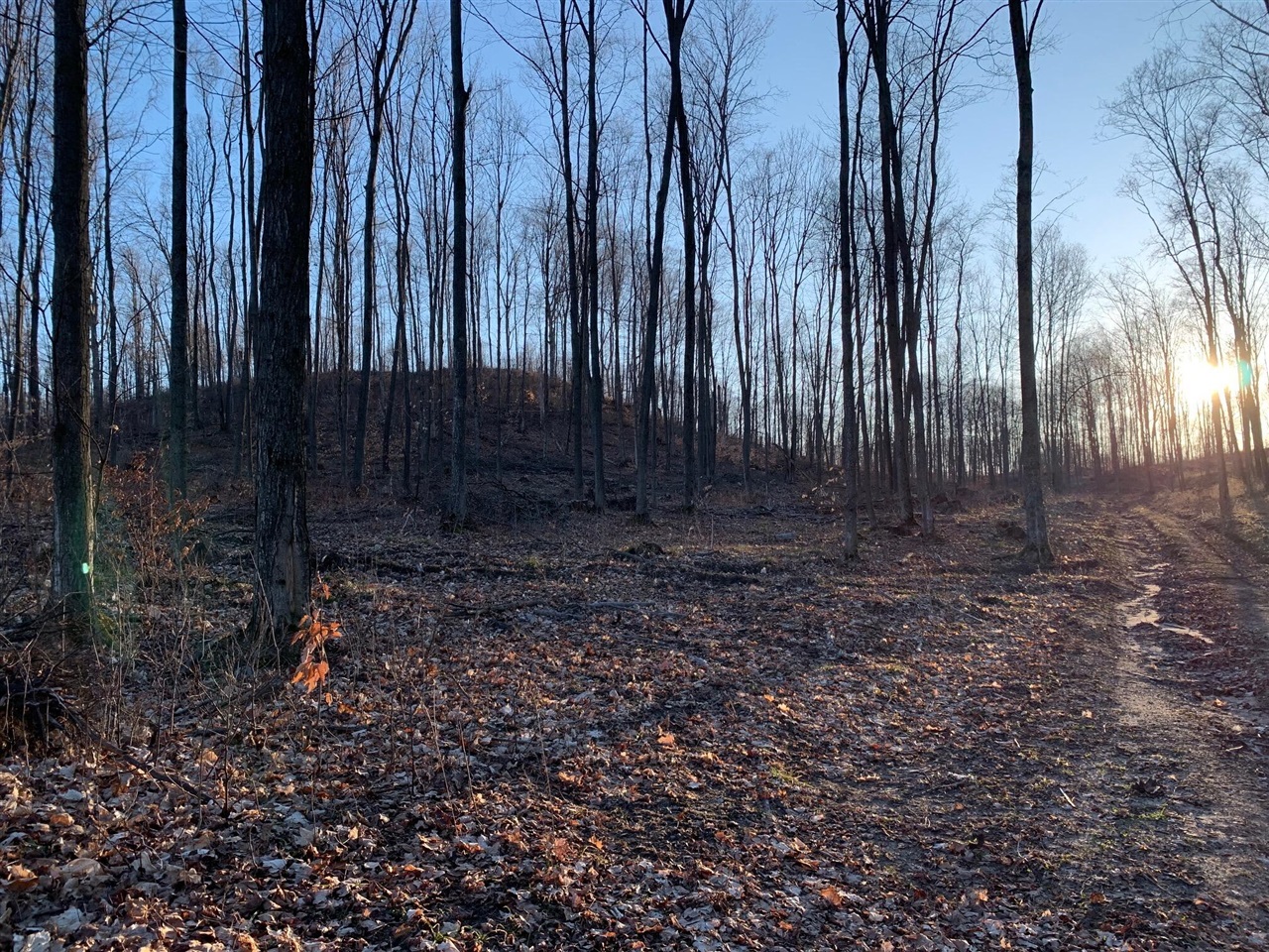 Chief ''o'' Road, Bear Lake, MI, 49614