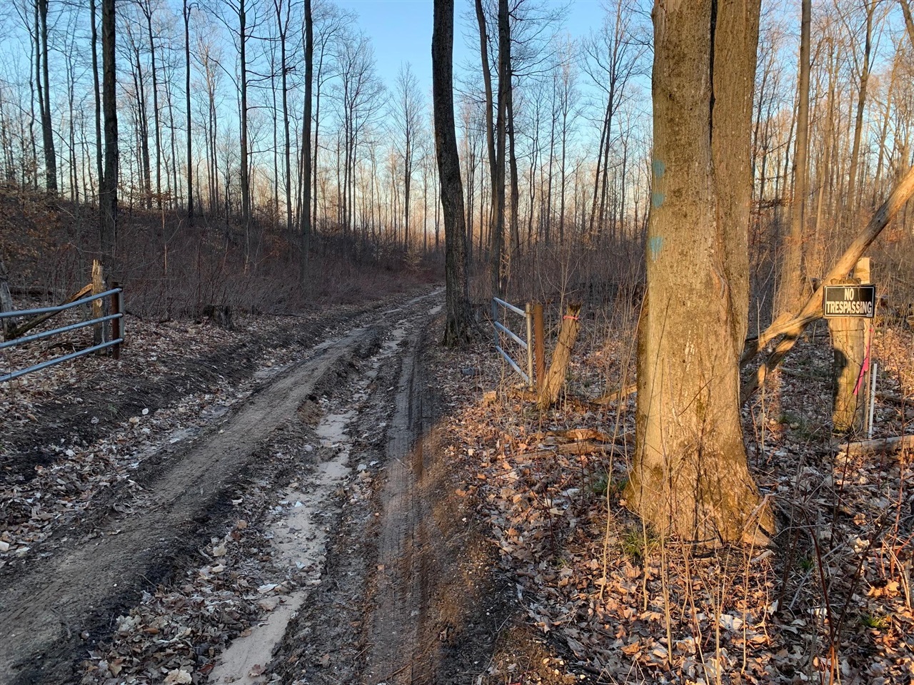 Chief ''o'' Road, Bear Lake, MI, 49614