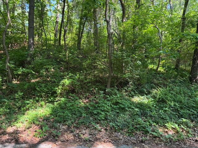 Chief ''o'' Road, Bear Lake, MI, 49614