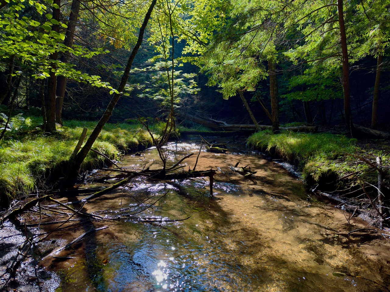 V/L Brace Road, Lakeport, MI, 48059