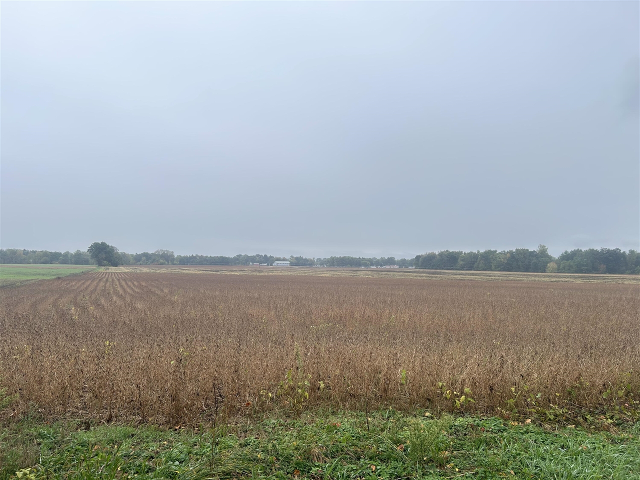 Mann Road, Port Sanilac, MI, 48469