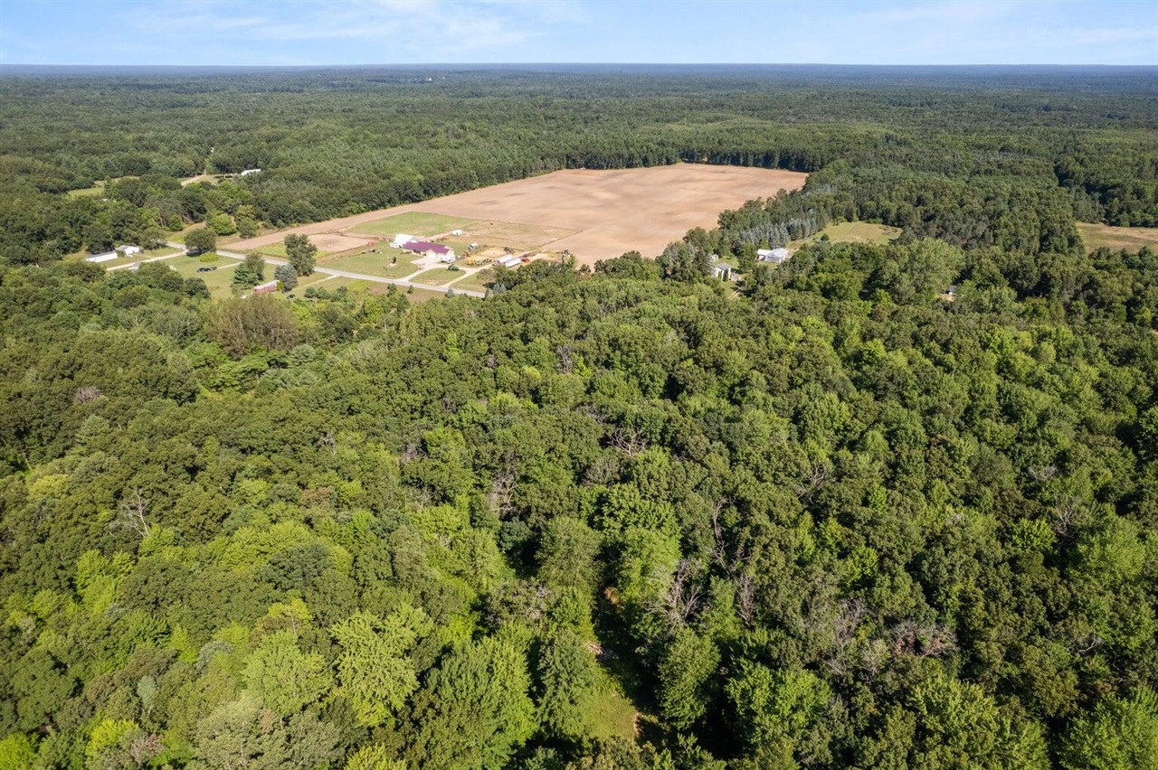 Homes for sale in Howard City, MI | Vl Par 1 98Th St, Howard City, MI 49329 | MLS# 70498387