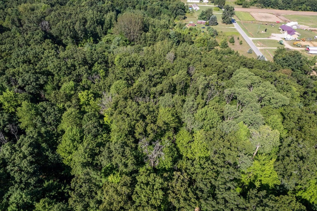 Homes for sale in Howard City, MI | Vl Par 1 98th St, Howard City, MI 49329 | MLS# 70498387