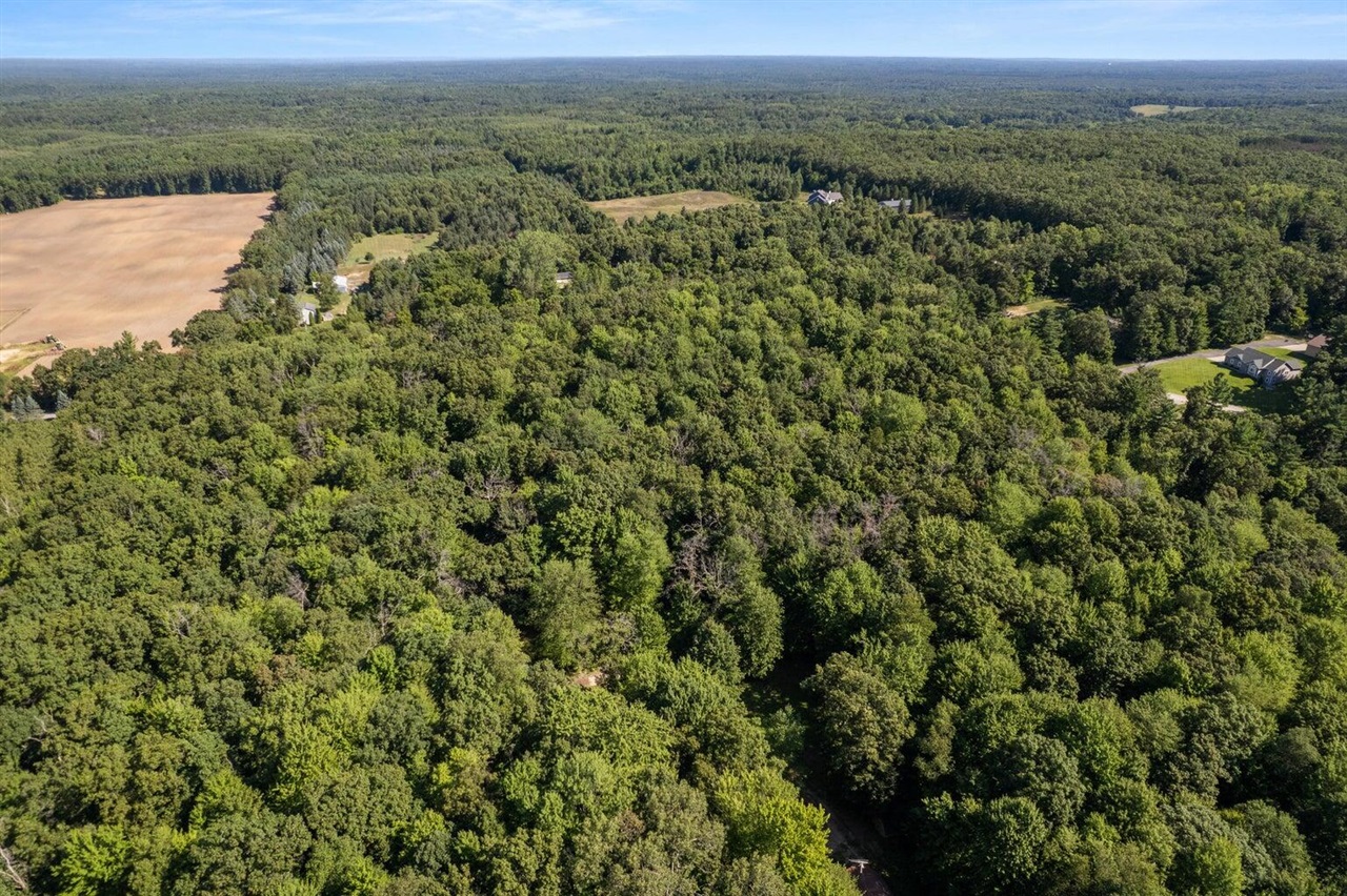 Homes for sale in Howard City, MI | Vl Par 2 E 98Th St, Howard City, MI 49329 | MLS# 70498390