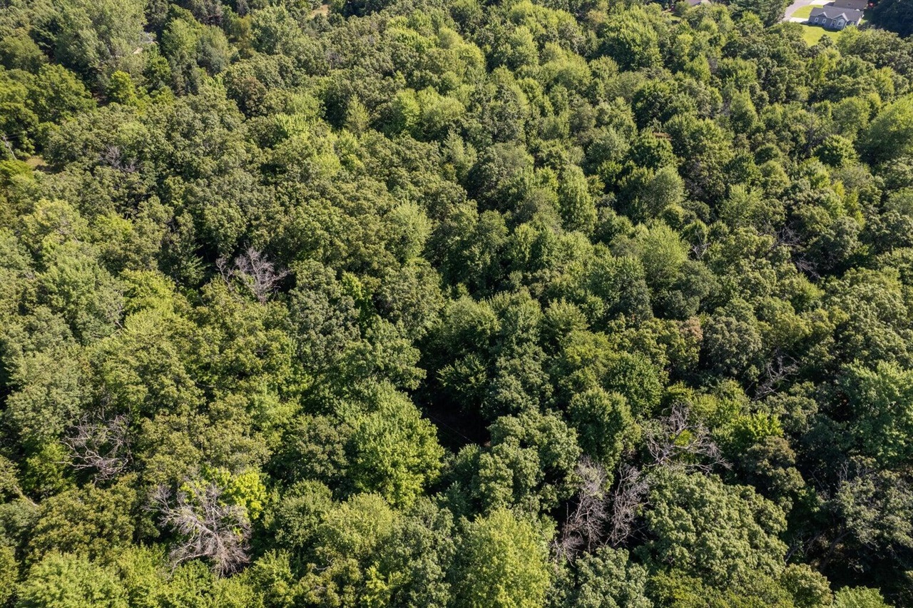 Homes for sale in Howard City, MI | Vl Par 2 E 98th St, Howard City, MI 49329 | MLS# 70498390