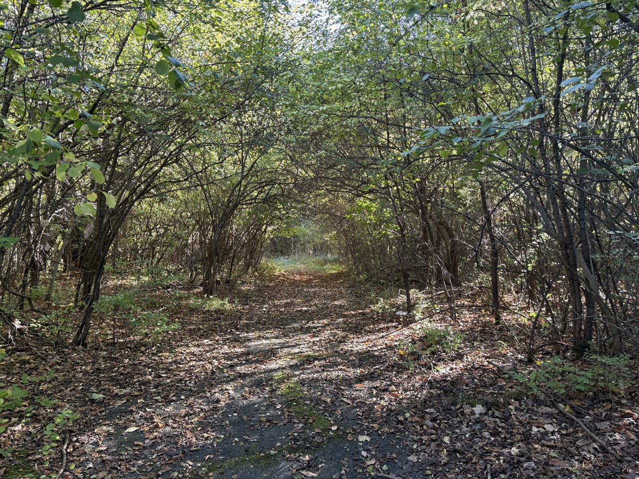 TBD Lakeshore Road, Lexington, MI, 48450