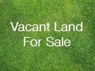 V/L Brace Road, Lakeport, MI, 48059