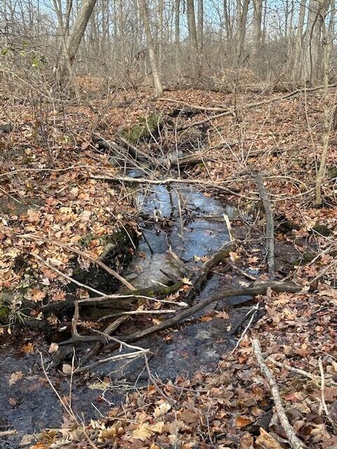 Homes for sale in Plainwell, MI | V/L N 12Th St, Plainwell, MI 49080 | MLS# 70508705