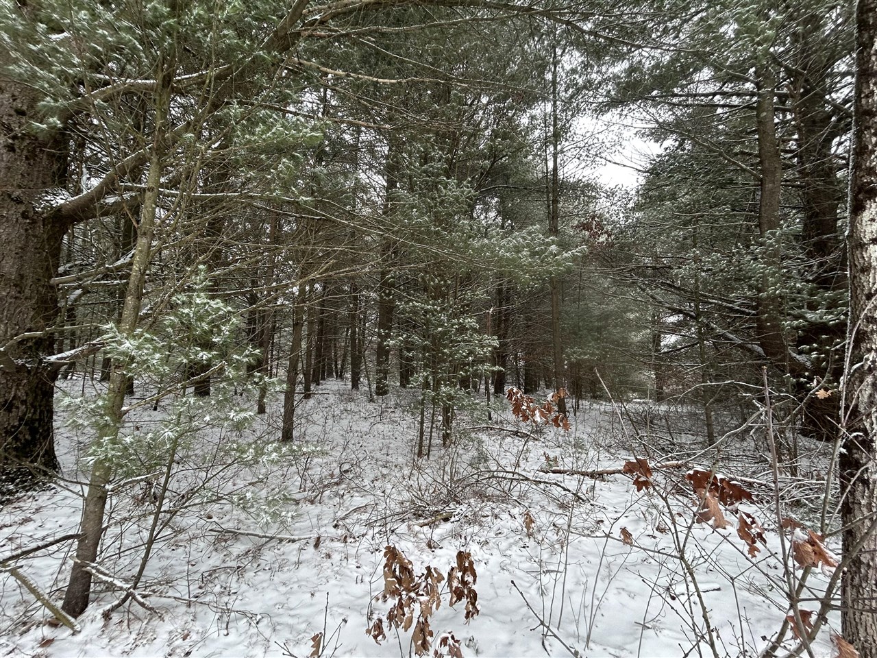 Homes for sale in Howard City, MI | 9530 Federal Rd, Howard City, MI 49329 | MLS# 70510558