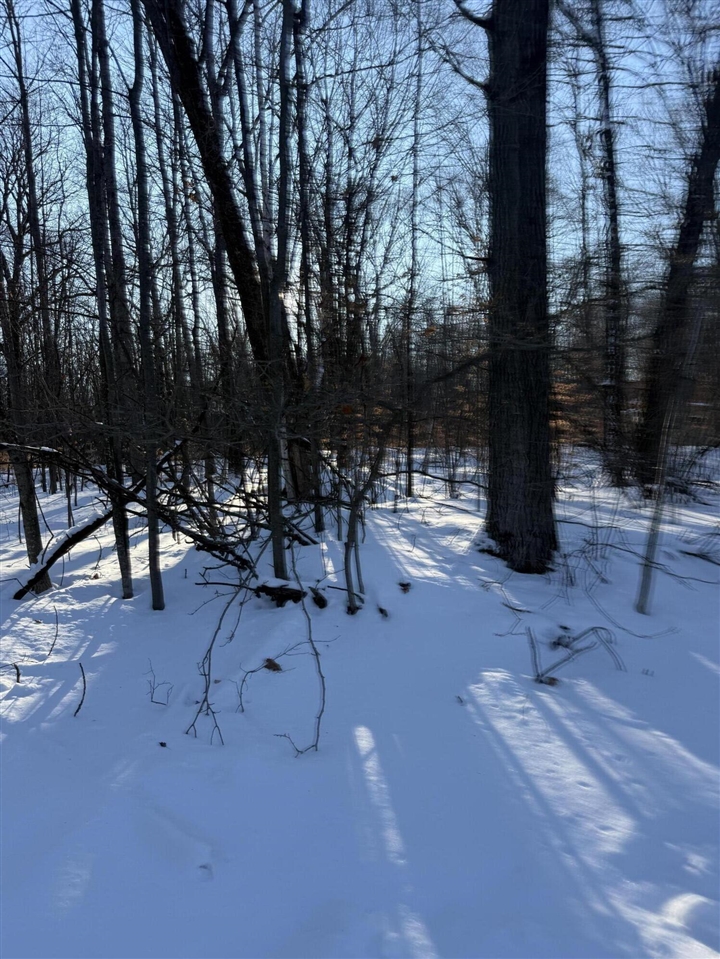 Homes for sale in Reed City, MI | (Undisclosed), Reed City, MI 49677 | MLS# 70511391