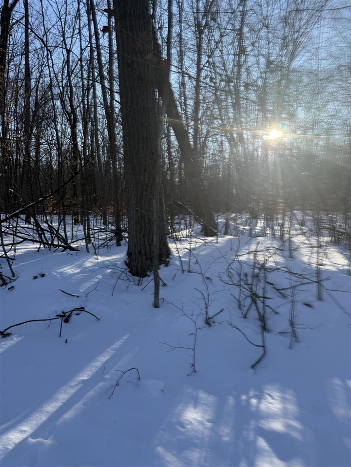 Homes for sale in Reed City, MI | (Undisclosed), Reed City, MI 49677 | MLS# 70511391