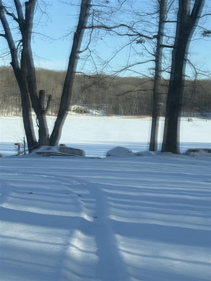 Homes for sale in Reed City, MI | (Undisclosed), Reed City, MI 49677 | MLS# 70511391