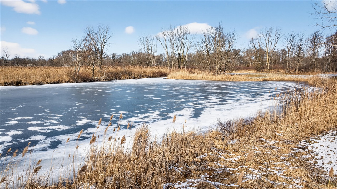 Homes for sale in Brooklyn, MI | V/L Hardcastle Rd Rd, Brooklyn, MI 49230 | MLS# 70511593