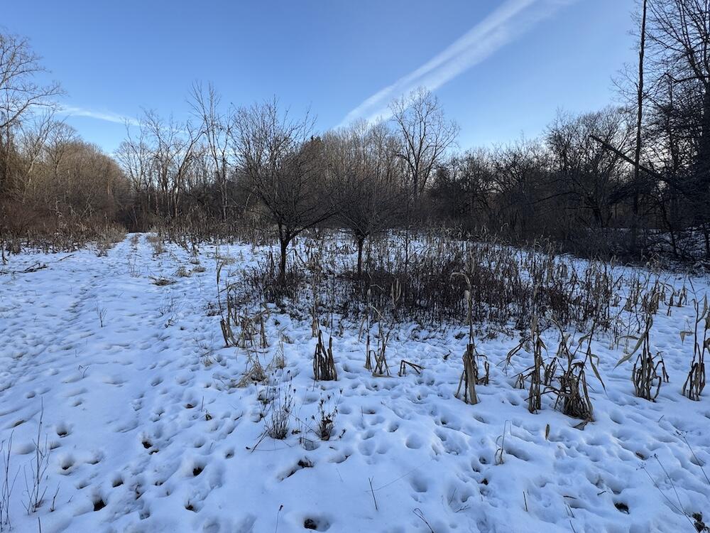 Homes for sale in Coleman, MI | 2500 W Quarter Line Rd, Coleman, MI 48618 | MLS# 70512399