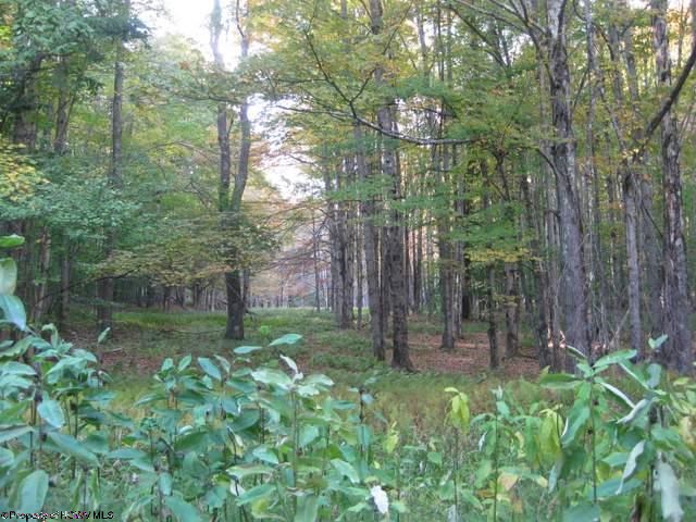 Lot 53 Blackwater Section Timberline Dev Lane Davis Wv 26260