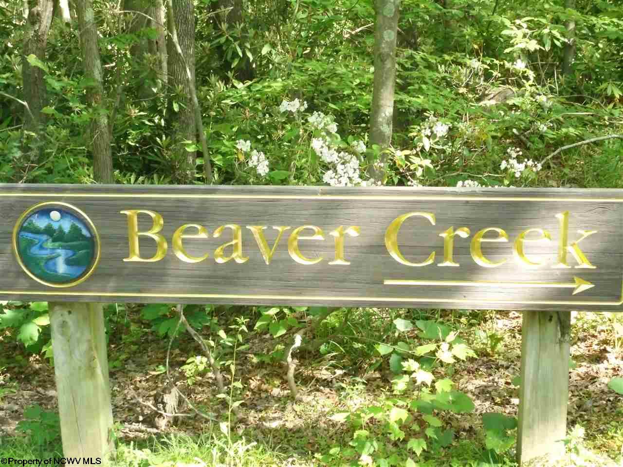 20 BEAVER CREEK DRIVE, HAZELTON, WV 26525 Vickie Jenkins Properties