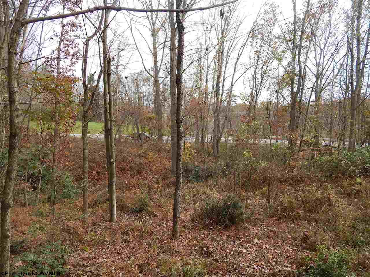 Gallery Image 0