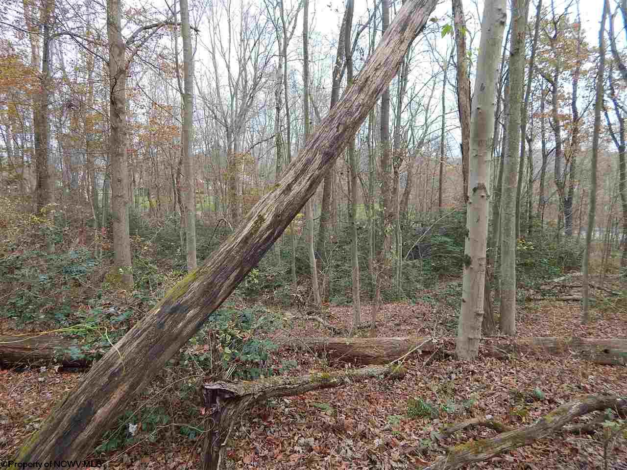 Gallery Image 14