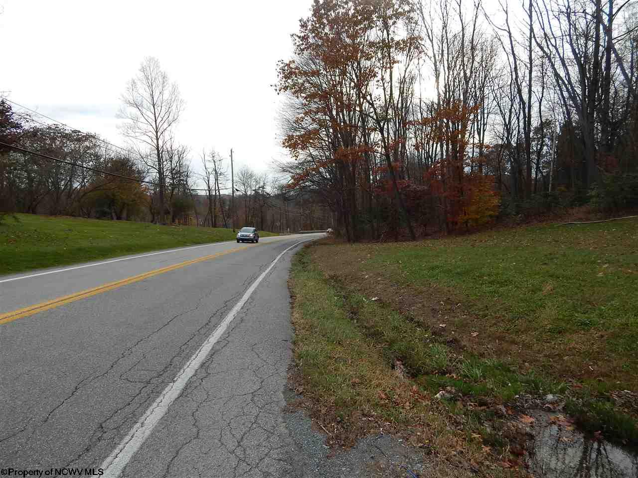 Gallery Image 17