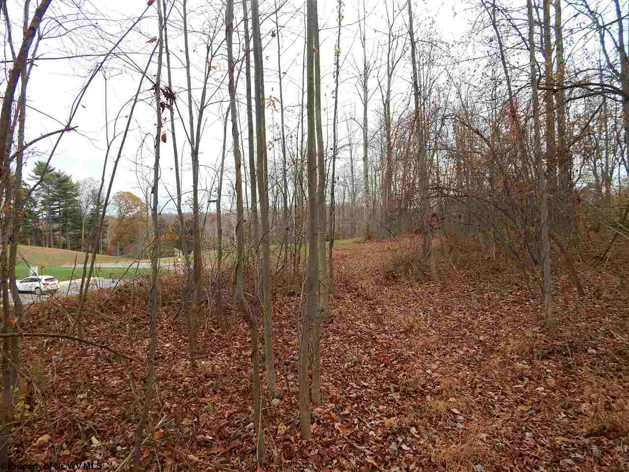 Gallery Image 19