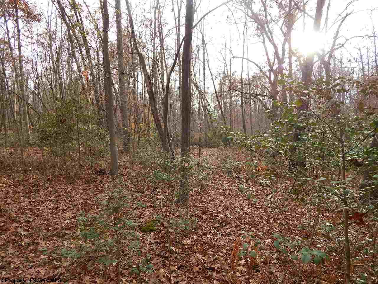 Gallery Image 7