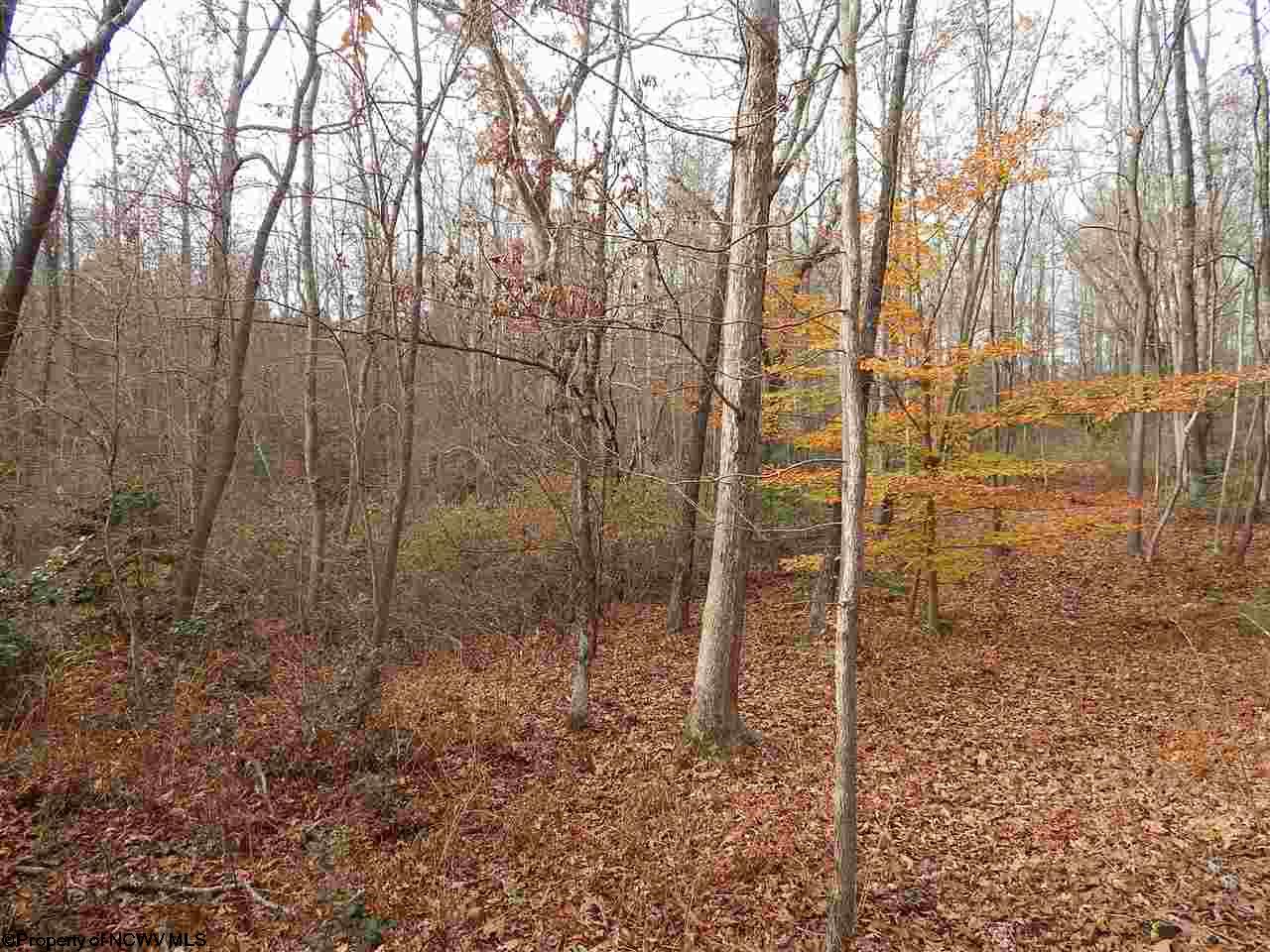 Gallery Image 8