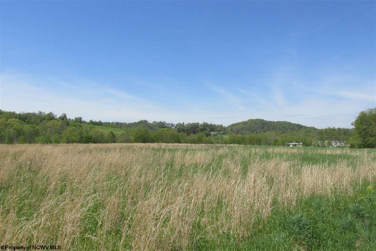 Gallery Image 0