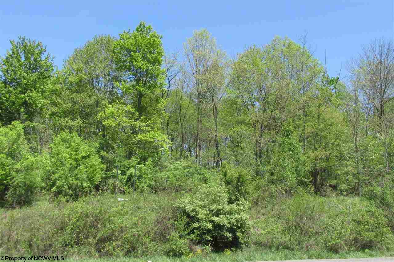 Gallery Image 9