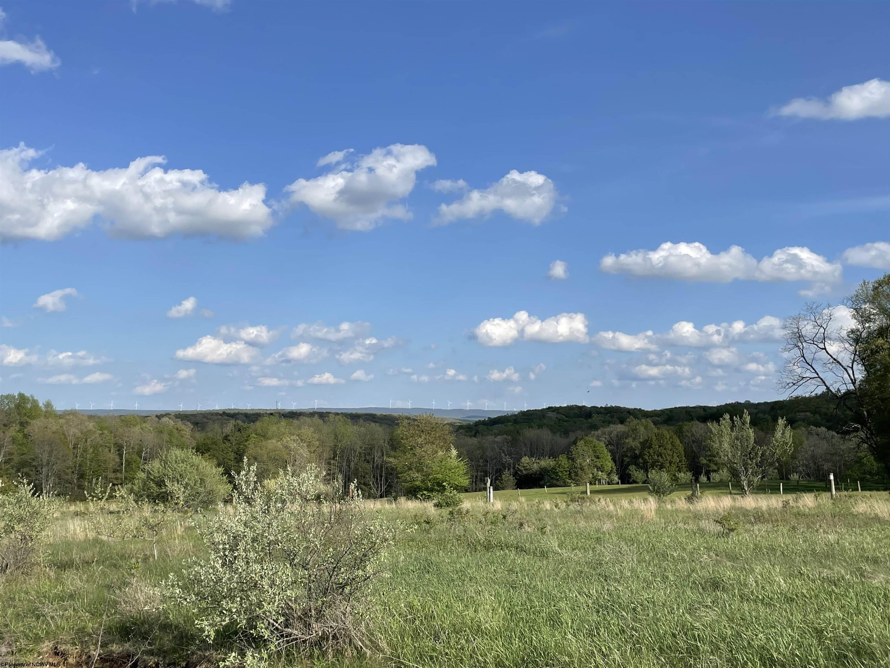 LOTS 58 & 59 SNOWY CREEK ROAD, TERRA ALTA, WV 26764 Vickie Jenkins Properties