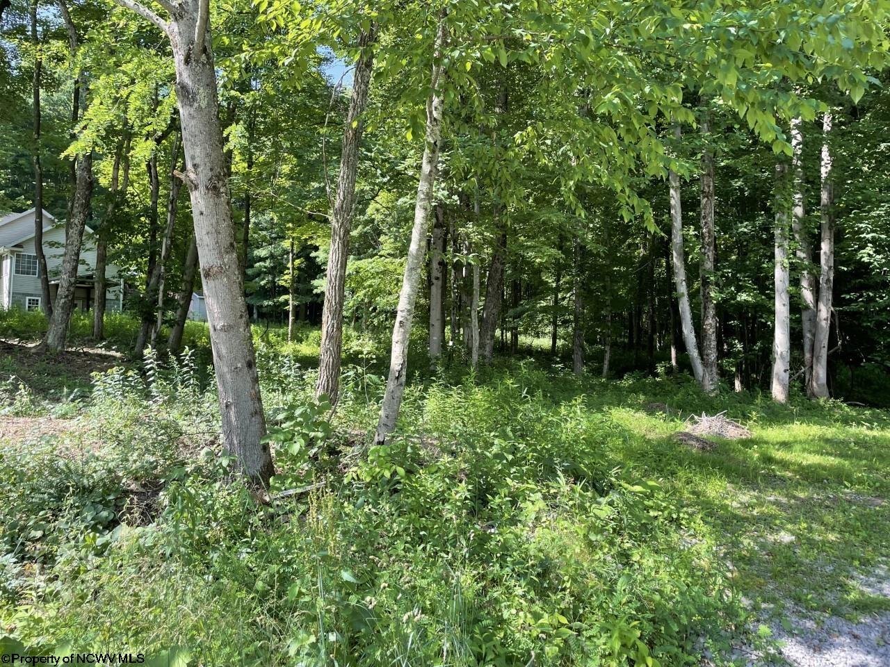 LOT 1 KIMBERLY LANE, KINGWOOD, WV 26537 Vickie Jenkins Properties