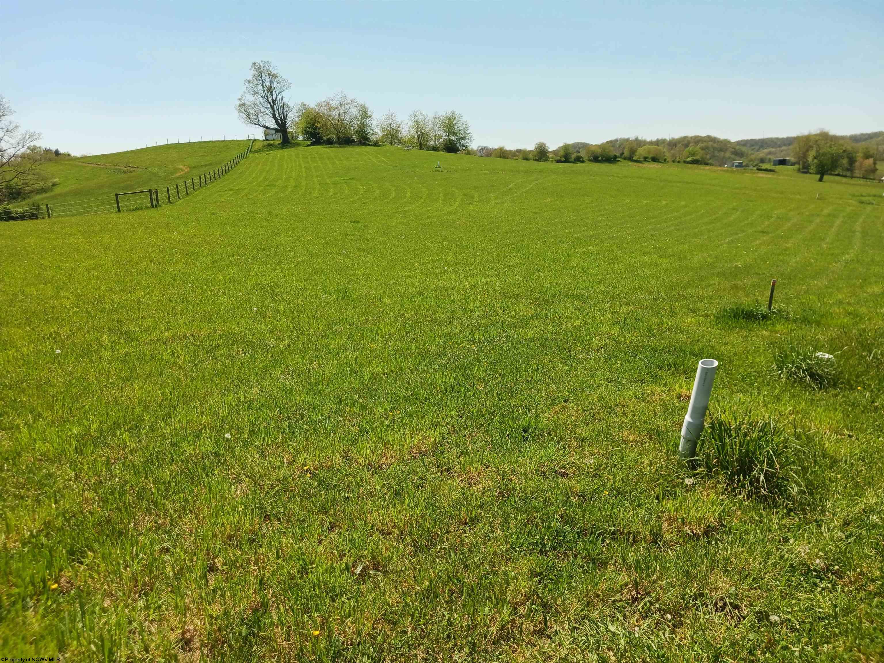 Gallery Image 14