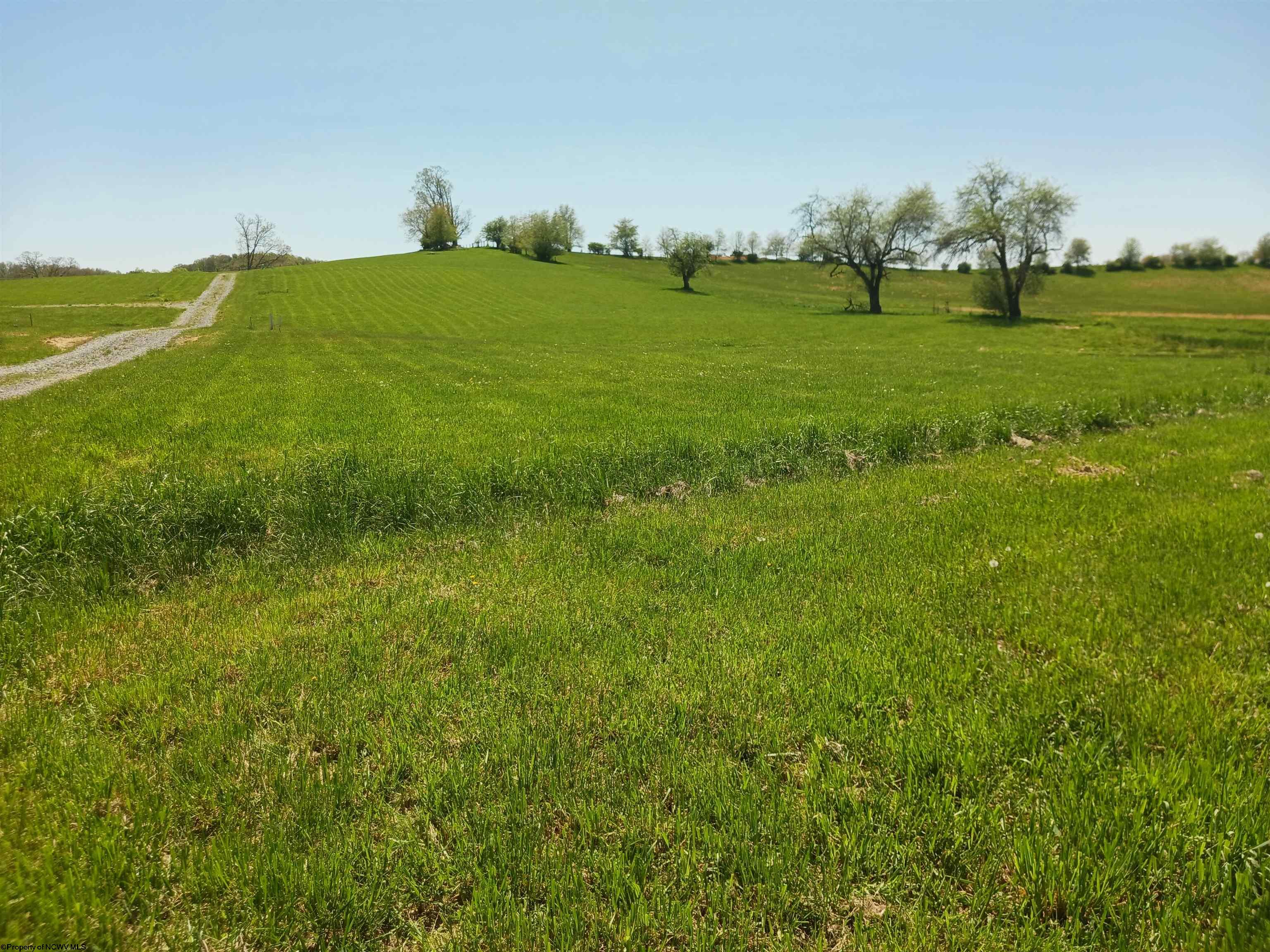 Gallery Image 13