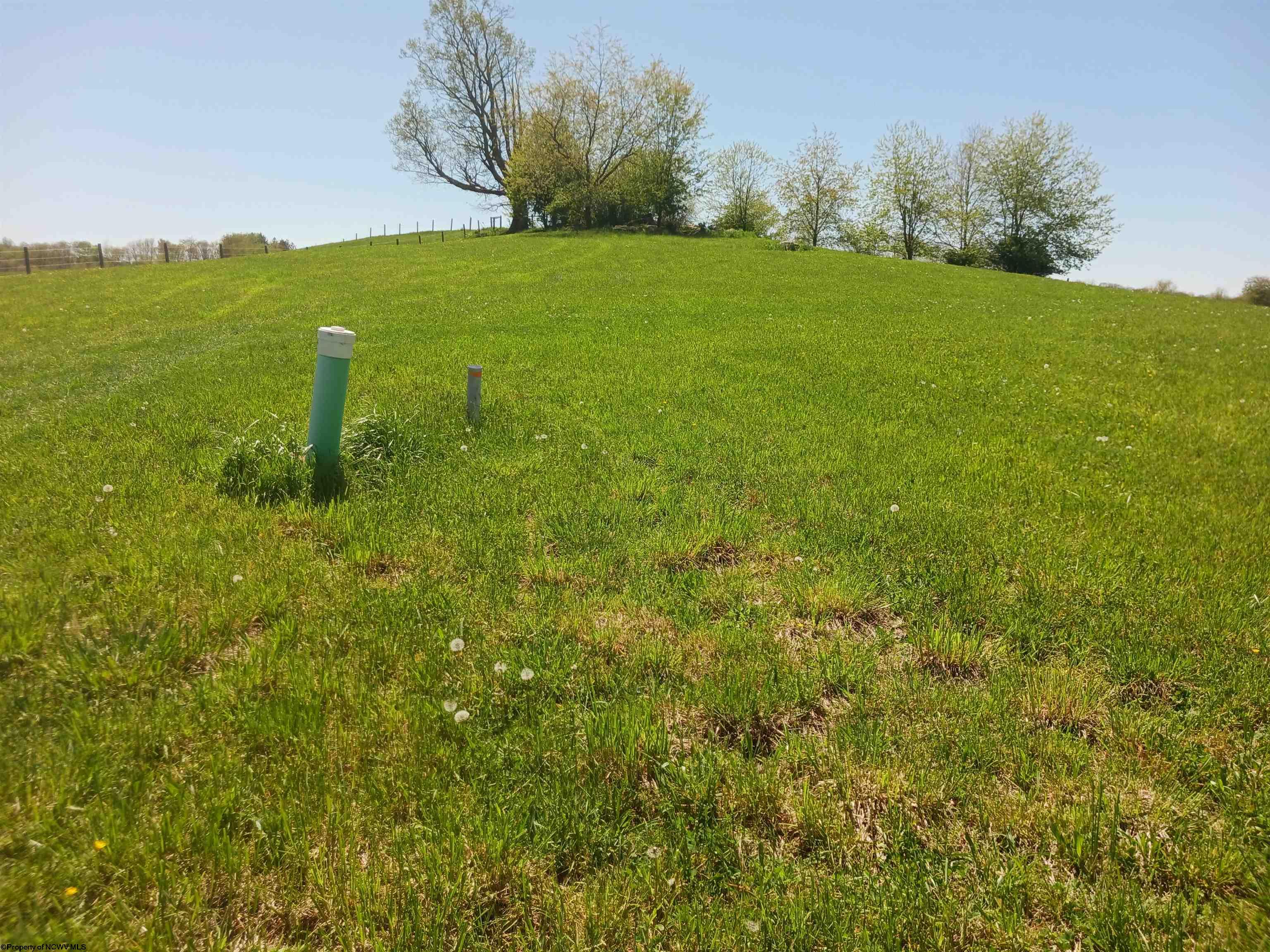Gallery Image 11