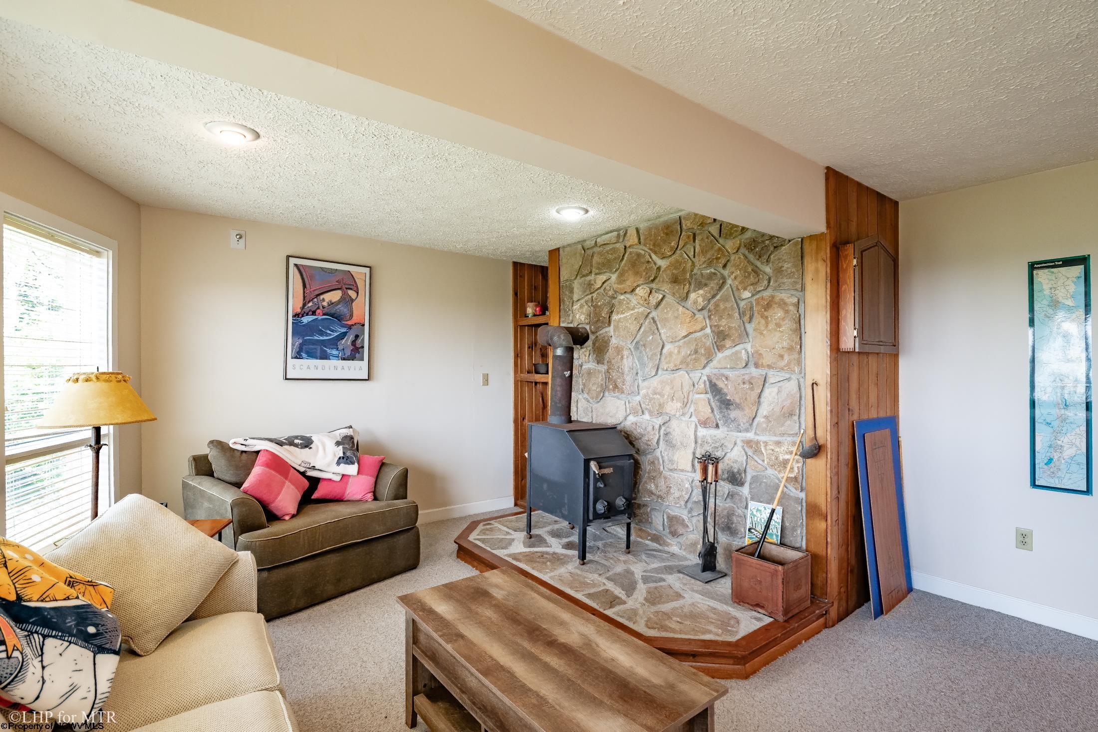 1681 MOUNTAINSIDE ROAD, DAVIS, WV 26260 MountainTop Realty