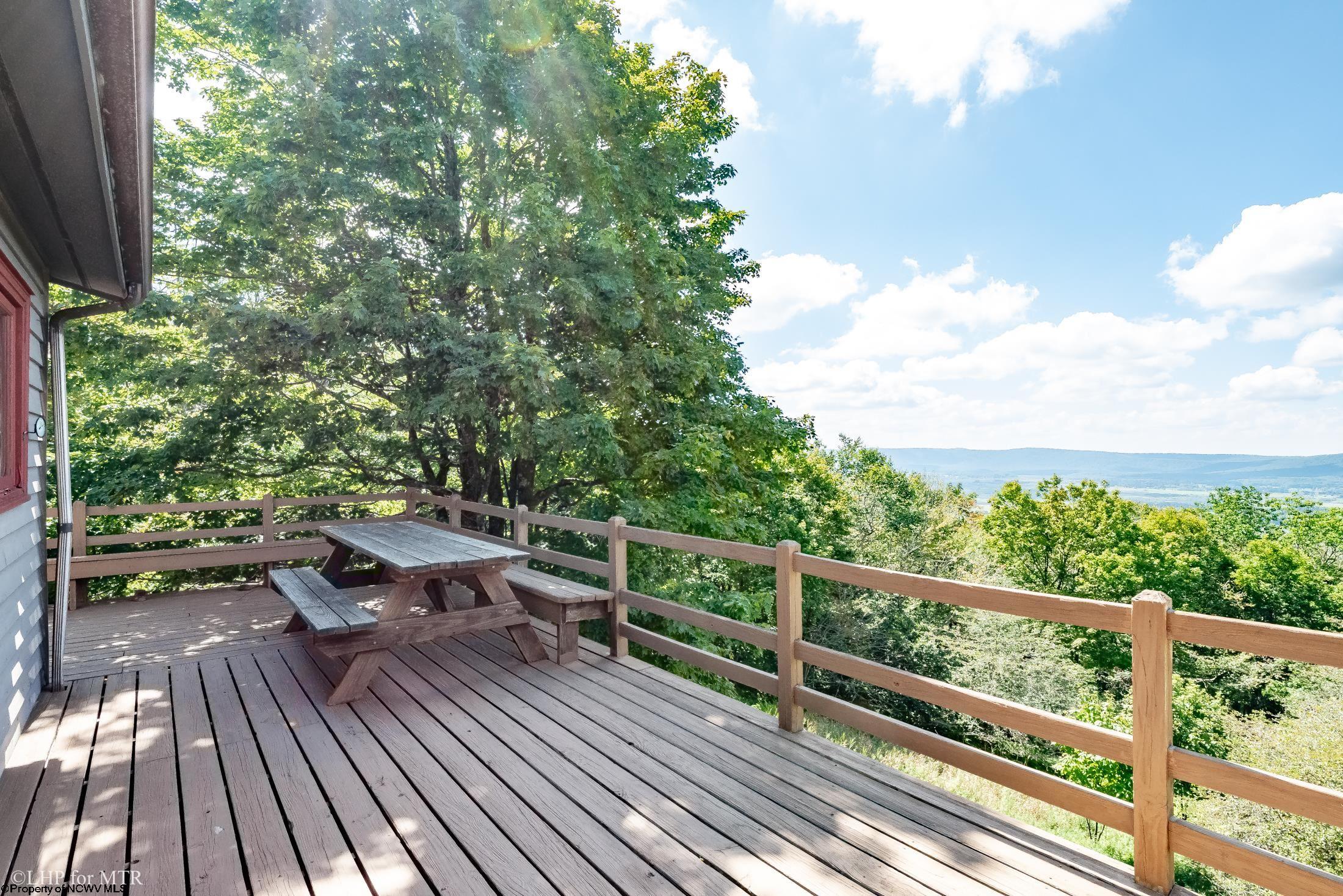 1681 MOUNTAINSIDE ROAD, DAVIS, WV 26260 MountainTop Realty